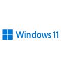 MS WINDOWS 11 PRO 64B DSP - Imagen 1