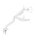 TooQ DB4032TNR-W soporte para monitor 81,3 cm (32") Abrazadera/Atornillado Blanco - Imagen 10