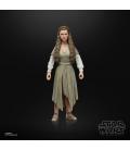 Star Wars The Black Series F43525X0 toy figure