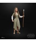 Star Wars The Black Series F43525X0 toy figure