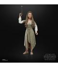 Star Wars The Black Series F43525X0 toy figure