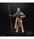 Star Wars The Black Series F43675X0 toy figure