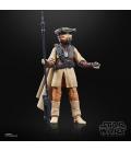 Star Wars The Black Series F43675X0 toy figure