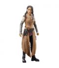 Star Wars The Black Series F55285X0 toy figure