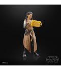 Star Wars The Black Series F55285X0 toy figure