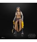 Star Wars The Black Series F55285X0 toy figure