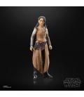 Star Wars The Black Series F55285X0 toy figure