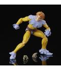 Marvel Legends Series ’s Toad