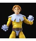 Marvel Legends Series ’s Toad