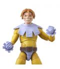 Marvel Legends Series ’s Toad