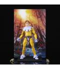 Marvel Legends Series ’s Toad