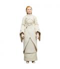 Star Wars The Black Series F55305X0 toy figure