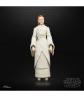 Star Wars The Black Series F55305X0 toy figure