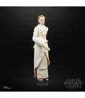 Star Wars The Black Series F55305X0 toy figure