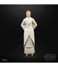 Star Wars The Black Series F55305X0 toy figure