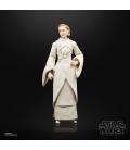 Star Wars The Black Series F55305X0 toy figure