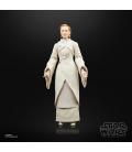 Star Wars The Black Series F55305X0 toy figure