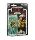 Star Wars The Black Series Princess Leia (Endor)