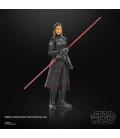 Star Wars The Black Series Inquisitor