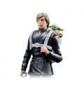 Star Wars The Black Series F83455L0 figura de juguete para niños