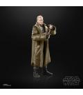 Star Wars The Black Series F55295X0 toy figure