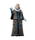 Star Wars The Black Series Bib Fortuna