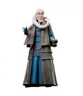 Star Wars The Black Series Bib Fortuna