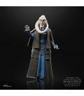 Star Wars The Black Series Bib Fortuna