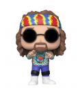 Funko pop deportes wwe dude love 61466