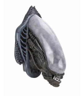 Replica neca cabeza alien xenomorph trofeo gomaespuma replica para pared 78x53x43 cm alien