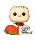 Funko pop peanus linus