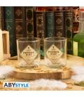 Set de botellas y vasos harry potter poción