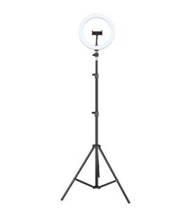 iggual Kit Aro luz LED 10" + Trípode 200 cm