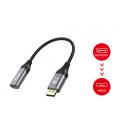 Equip 133446 adaptador de cable de vídeo 0,15 m DisplayPort HDMI Negro, Gris