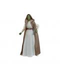 Figura hasbro star wars: the acolyte jedi master vernestra rwoh